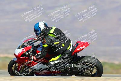 media/Feb-12-2022-SoCal Trackdays (Sat) [[3b21b94a56]]/Turn 12 Inside Speed Shots (11am)/